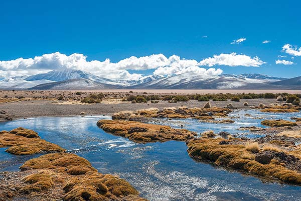 Claves para entender “potenciales” impactos de los nuevos derechos medioambientales en la Constitución