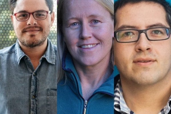 DF Lab Opinión/ Nueva constitución y emprendimiento de alto impacto