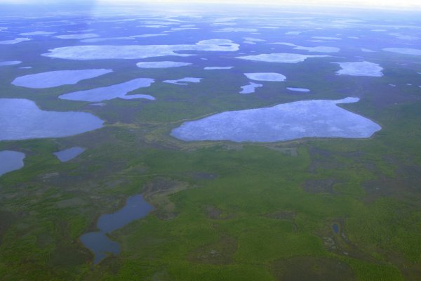 Deshielo ártico e incendios forestales amenazan la lucha contra el cambio climático