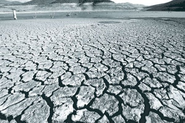 Primera medición de gasto público en cambio climático identificó solo 32 iniciativas en el Presupuesto 2019