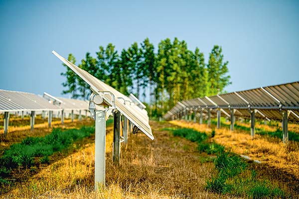 Las nuevas tecnologías que está incorporando la industria solar para aumentar su competitividad