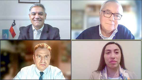<p>En el webinar participaron el director comercial de ProChile en Perú, Helmut Eichhorn; el gerente Servicios Empresariales de la CCS, Raúl Muñoz; el abogado Donald Chirinos; y la subgerenta de Asuntos Internacionales de la CCS, Elizabeth Lagos.</p>
