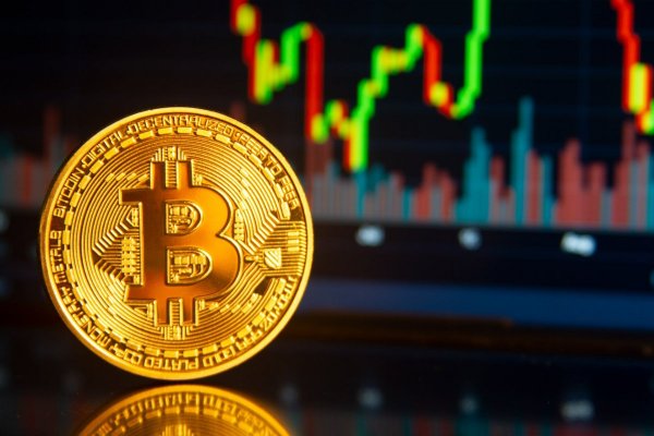 Criptomonedas: claves para sobrellevar su alta volatilidad