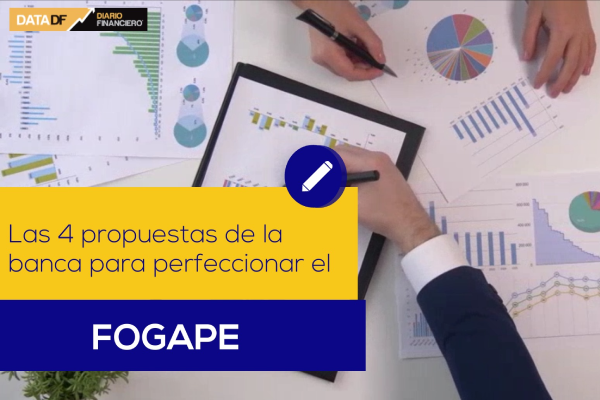 <p>DATA DF | Las cuatro propuestas de la banca para perfeccionar el Fogape</p>
