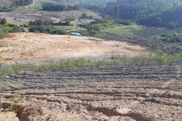 Senadores estiman que proyecto de Ley Marco de Cambio Climático se despacharía en junio