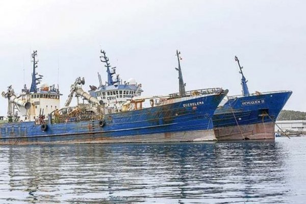 Parlamentarios insistirán en proyecto que busca prohibir la pesca de arrastre de la merluza común y Asipes hace llamado a no persistir en la iniciativa