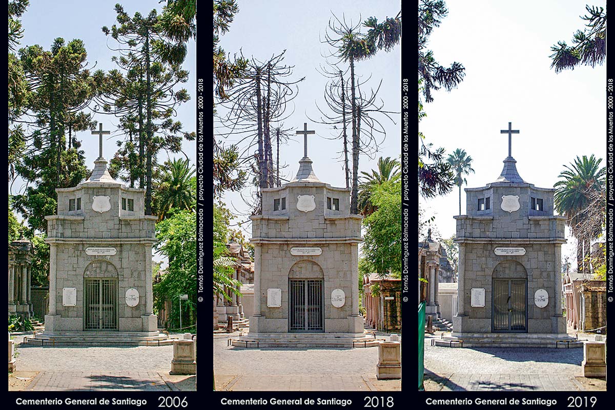 <p>Recoleta aún no responde por falta de riego de árboles en Cementerio General</p>