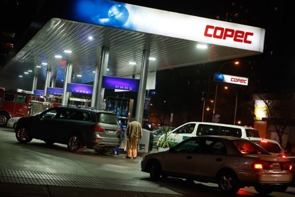 <p>Empresas Copec da fuerte salto en sus utilidades en primer trimestre impulsada por negocio forestal</p>