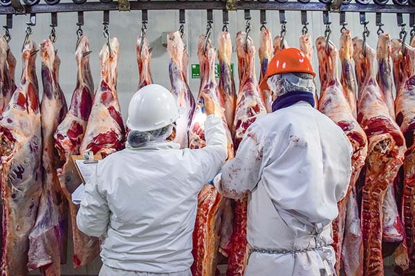 <p>Argentina inhabilita la operación de doce empresas exportadoras de carne</p>