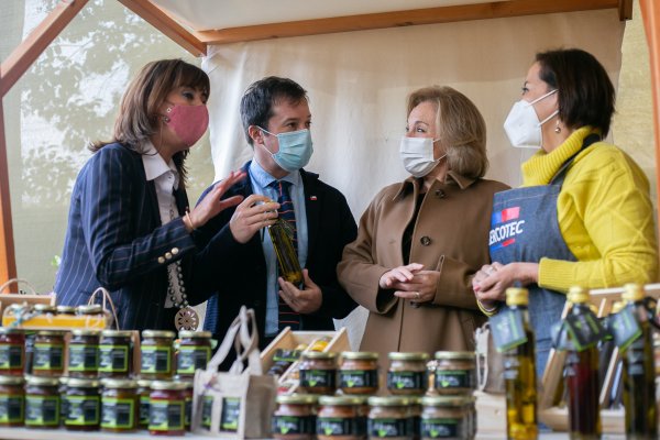 Capital Abeja Emprende quintuplica su presupuesto para este año