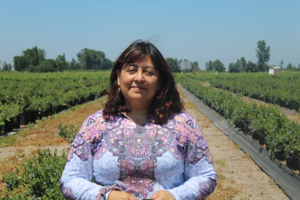 Myconativa, la startup que crea biofertilizantes con hongos, realizará pruebas en viña Concha y Toro