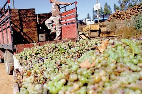 <p>El explosivo avance agroexportador peruano: ya supera a Sudáfrica y queda detrás de Chile entre los países del hemisferio sur</p>