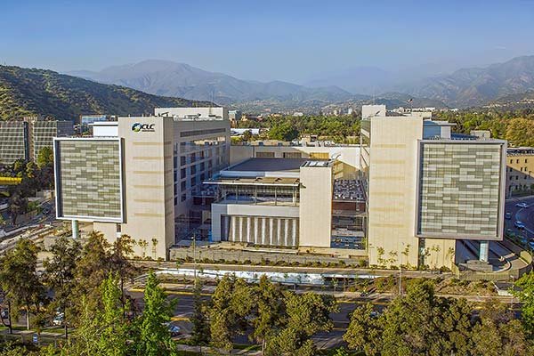 CLC profundiza crisis: renuncia presidenta de los médicos, sindicatos “en alerta” y demandas laborales ad portas