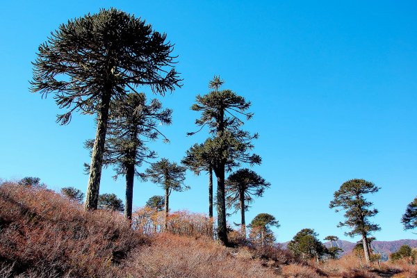 UTEM lanzó convocatoria que premia a empresas sustentables según grado de avance