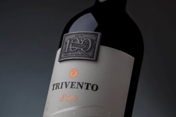 Concha y Toro invierte US$ 20 millones en Trivento, que se convierte en la viña argentina con mayores ventas a nivel mundial