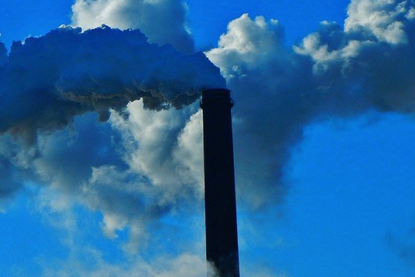 WWF alerta que el planeta agota sus recursos el 29 de julio y entra en “Sobregiro Ecológico”