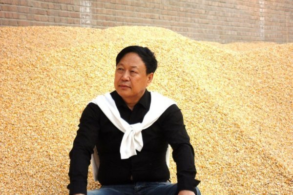 No solo las tecnológicas: Empresario agrícola chino que desafió a Beijing fue condenado a 18 años de cárcel