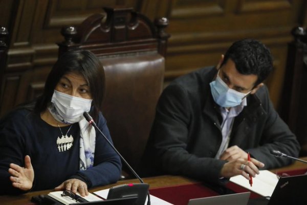 Loncon y Bassa por el primer mes de la Convención: “Hemos hecho ejercicio de la democracia participativa”