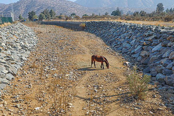 Informe de la ONU confirma sequía prolongada y escasez de agua para Chile en los próximos años