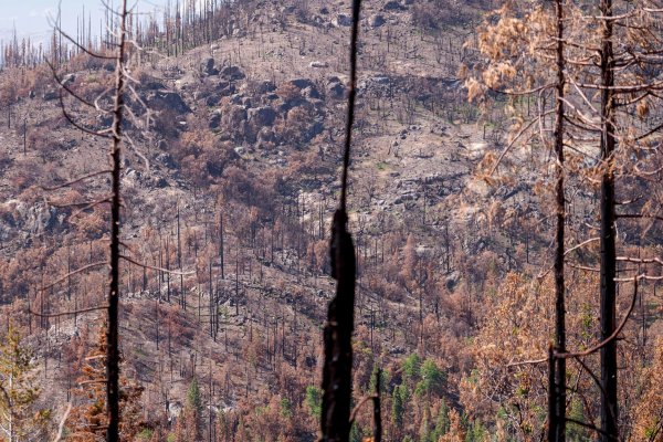 Los inversores ESG cuestionan sus propios métodos tras el informe sobre el clima