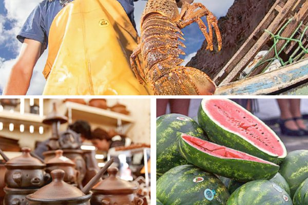 <p>Nacido y criado en Chile: los productos con sello de origen que recorren el mundo</p>