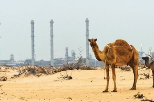 Aramco negocia comprar un 20% de la india Reliance Industries por más de US$ 20.000 millones
