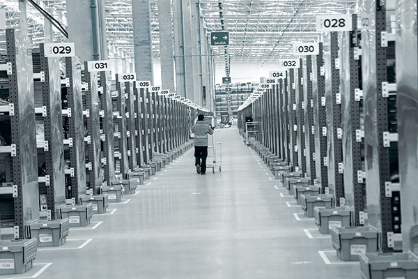 Los desafíos de la empresa tras los grandes proyectos logísticos de Walmart y Mercado Libre