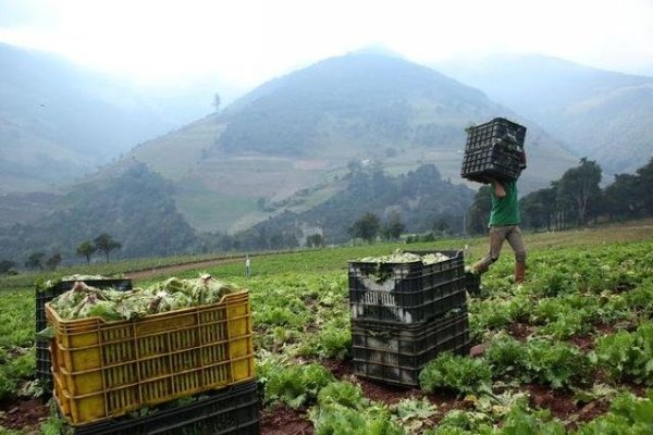 Endeavor y las principales empresas de la agroindustria lanzan programa para encontrar soluciones innovadoras y sostenibles