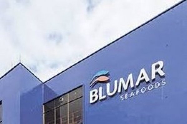 Blumar revierte pérdidas en el primer semestre por mayor facturación en los negocios de pesca y salmones