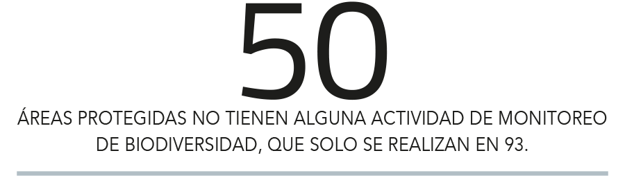Imagen foto_00000002