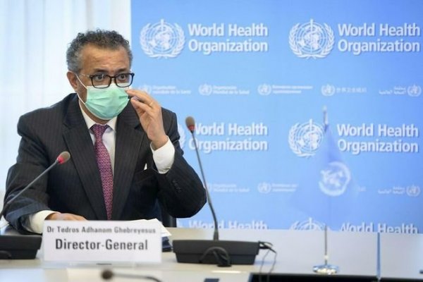 OMS: China hace propios estudios sobre origen del Covid