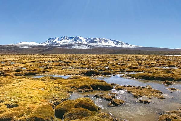 Consultora medioambiental chilena gana Premio Latinoamérica Verde
