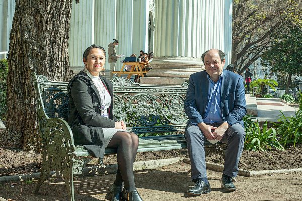 Las miradas de los constituyentes Rosa Catrileo y Rodrigo Álvarez tras despachar el reglamento al pleno