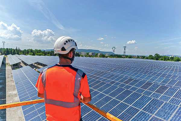 Los escenarios de riesgo que revelaron las distintas ofertas de la concurrida licitación eléctrica