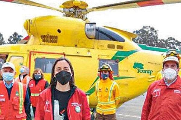 Lanzan plan para combatir incendios forestales