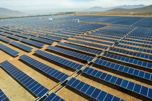 Cuatro generadoras presentan ofertas en subasta dentro de concurrida licitación eléctrica