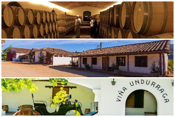 <p>Wine&Spirits destaca a tres viñas chilenas entre las 100 mejores del mundo en 2021</p>