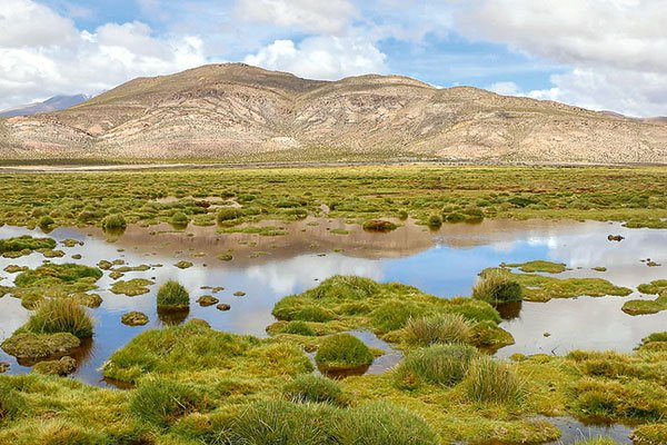 Joyashree Roy: "Hay que construir infraestructuras hídricas compatibles con el clima"