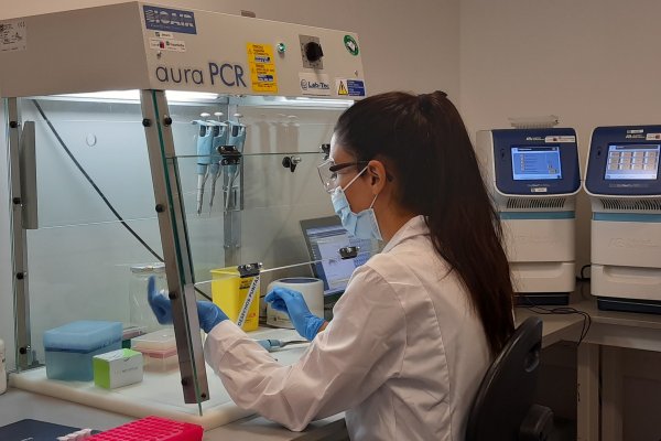 Ranking OMPI: Chile mantiene liderazgo de innovación en Latinoamérica, pero aún no recupera posición de 2019