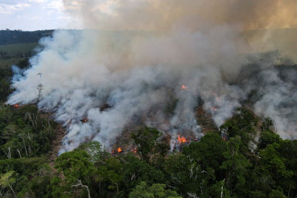 Los líderes empresariales instan a Brasil a liderar el clima o quedarse atrás
