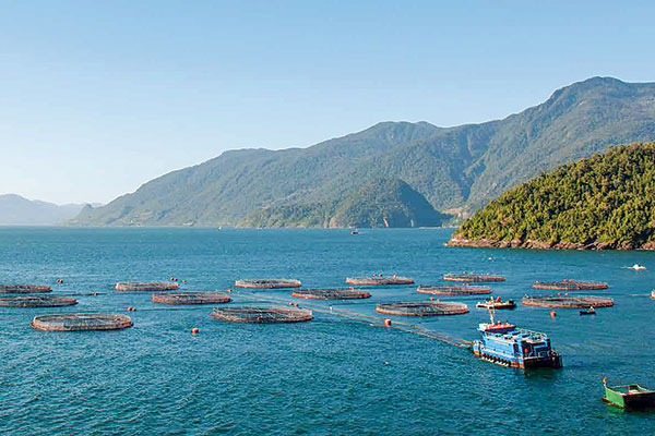<p>Salmones Camanchaca propone aumento de capital por hasta US$ 30 millones para sustentar planes a 2023</p>