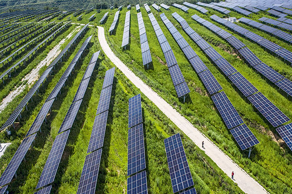 <p>BancoEstado se pone “verde”: hacia el 2050 sus emisiones financiadas serán iguales a cero</p>