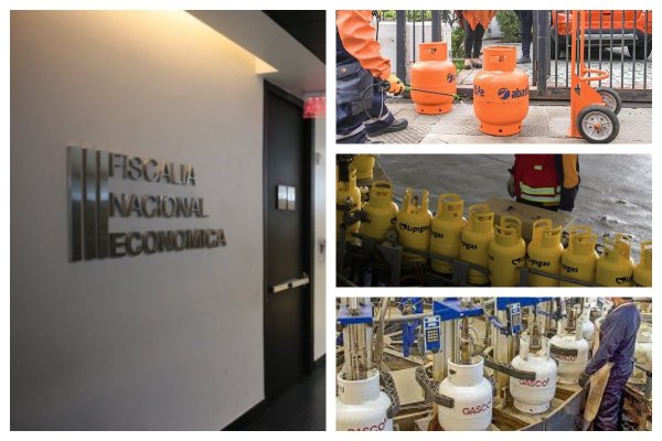 FNE recomienda prohibir que Gasco, Abastible y Lipigas participen en la distribución minorista de gas licuado
