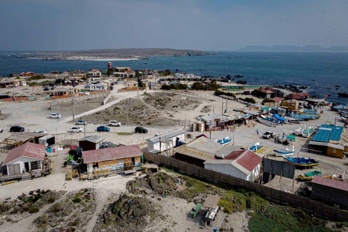 <p>Los otros empresarios que apostaron por el negocio de Dominga </p>