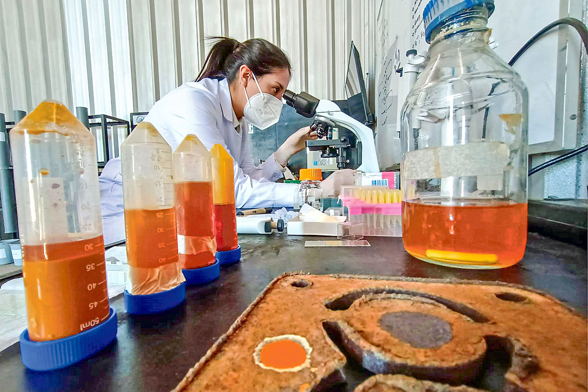 <p>Spiromet, la biotecnología con sello chileno que deshace chatarra</p>