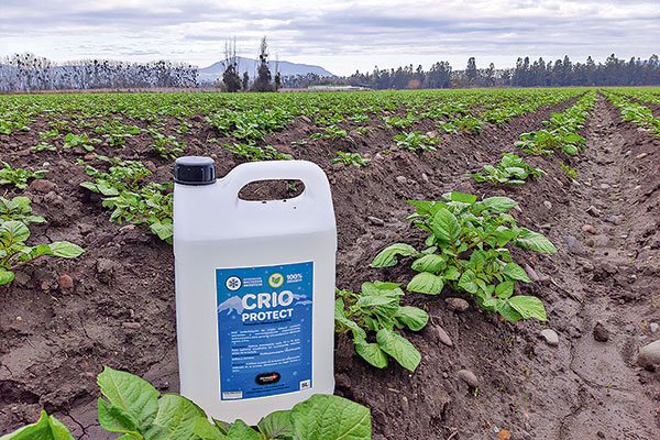 Innovación que protege a las plantaciones de las heladas representará a Chile en Francia