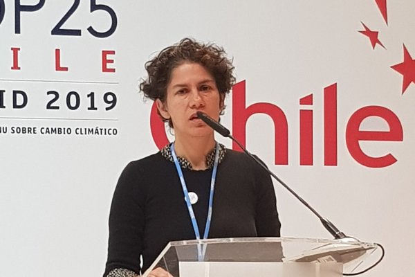 Maisa Rojas se suma como vocera medioambiental de la campaña de Boric