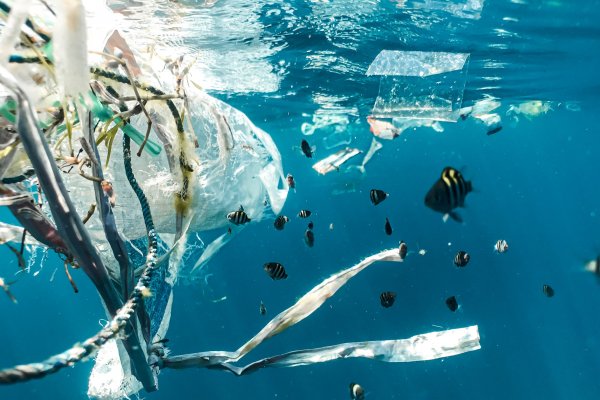 Heredero de Walmart se une a fondo de inversión para erradicar desechos contaminantes