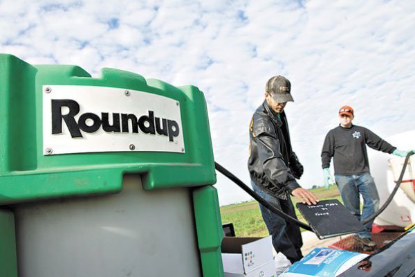 <p>Bayer afronta demanda colectiva en Alemania por compra de Monsanto</p>