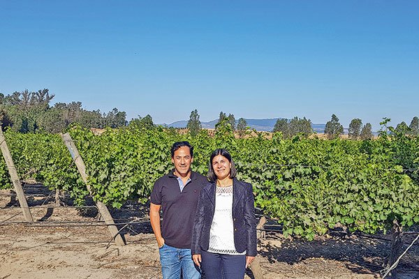 Space AG, la startup agrícola peruana que aterriza en Chile en 2022